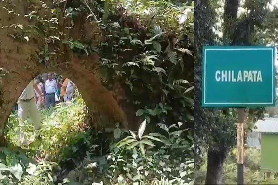বয়সের ভারে জীর্ণ! নাম বদলাচ্ছে চিলাপাতার গভীর জঙ্গলের ঐতিহাসিক স্থাপত্য ‘নল রাজার গড়ে’র