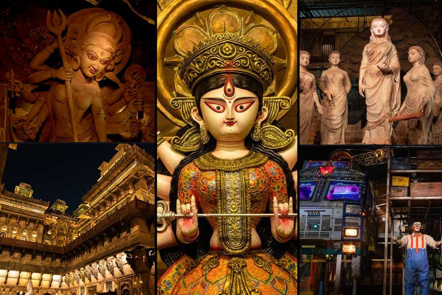 ক্ষুধার ধারাবৃত্ত থেকে জোকারের যন্ত্রণাগাথা! দেখে নিন বেহালার নানা পুজোর ঝলক