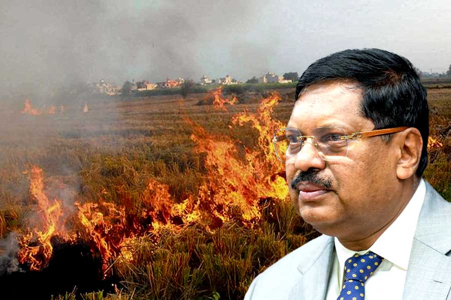 কৃষকদের শস্যের গোড়া পোড়ানোয় দূষণ, ‘কয়েক জনকে জেলে ভরুন’, কড়া বার্তা প্রধান বিচারপতির