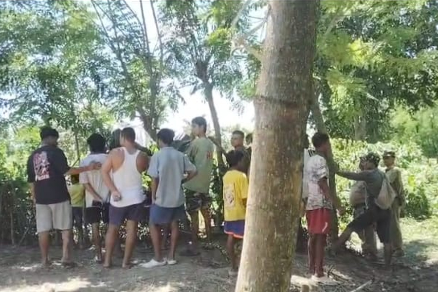 সুপারি বাগান রক্ষায় বেআইনি বিদ্যুতের বেড়া, বক্সায় বিদ্যুৎস্পৃষ্ট হয়ে হাতির মৃত্যু