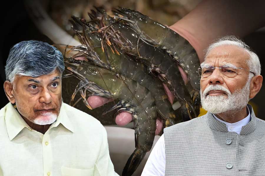 মার্কিন শুল্ককোপে ২৫০০০ কোটির ক্ষতি অন্ধ্রের! ‘কিছু করুন’, কেন্দ্রের কাছে আর্জি নায়ডুর