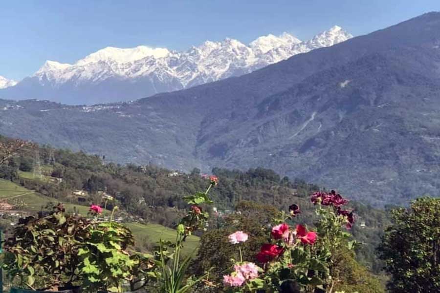 Durga Puja Travel: Pabang in kanchenjunga should be the destination for bengali in this Puja