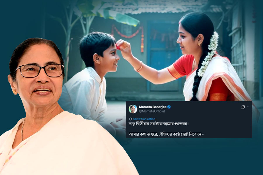 ‘ভাইয়ের কপালে দিলাম ফোঁটা, মঙ্গলদ্বীপে জ্বলুক শিখা’, ভাইফোঁটায় নতুন গানে শুভেচ্ছা মুখ্যমন্ত্রীর