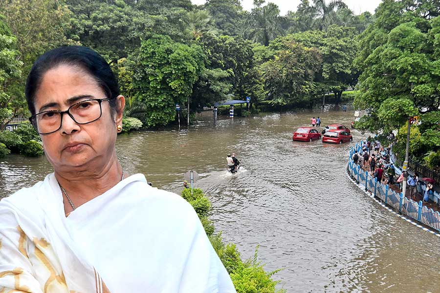 কলকাতার বৃষ্টি বিপর্যয়ে মৃতদের পরিবারকে ২ লক্ষ টাকার চেক-নিয়োগপত্র, পাশে থাকার আশ্বাস মমতার