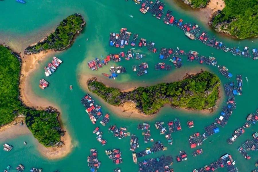 Kali Puja 2025: Assam's Jorhat has become India's most popular destination for 2026