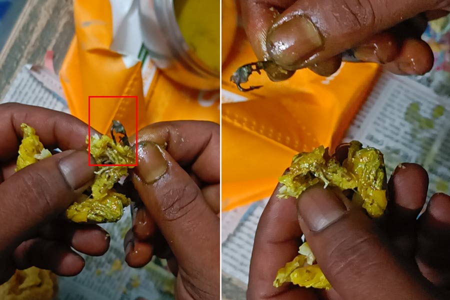 মাছের পেটে ছোট বঁড়শি! খেতে গিয়ে অল্পের জন্য প্রাণরক্ষা যুবকের
