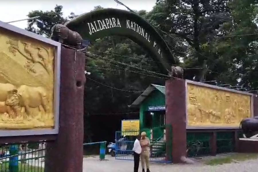 দুর্যোগ কাটিয়ে কবে খুলবে জলদাপাড়ার জঙ্গল? অধীর অপেক্ষায় পর্যটকরা