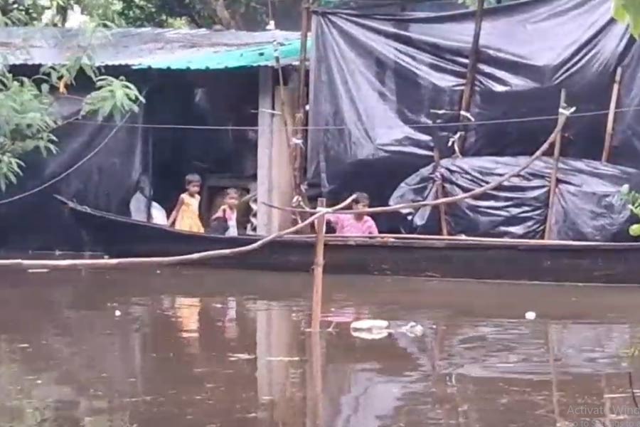 Mamata Banerjee in North Bengal