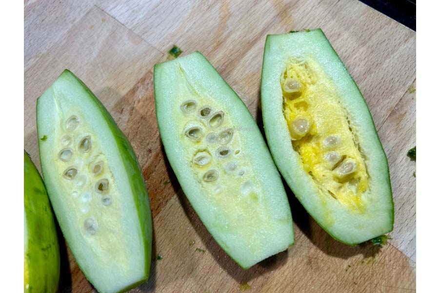 Health Tips: Find out which diseases Potol seeds cure