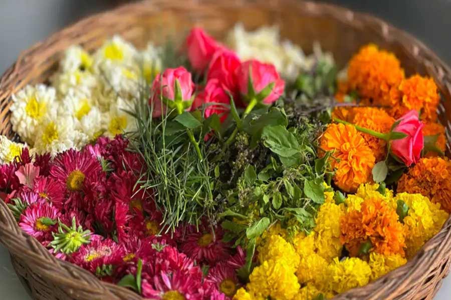 পুজোর বাসিফুলই বাগান পরিচর্যার ব্রহ্মাস্ত্র! জেনে নিন কীভাবে সার তৈরি করবেন