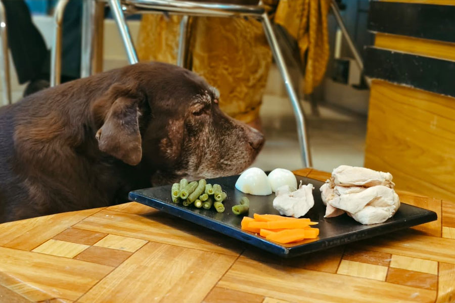 A Pet friendly Restaurant opens in Bardhaman