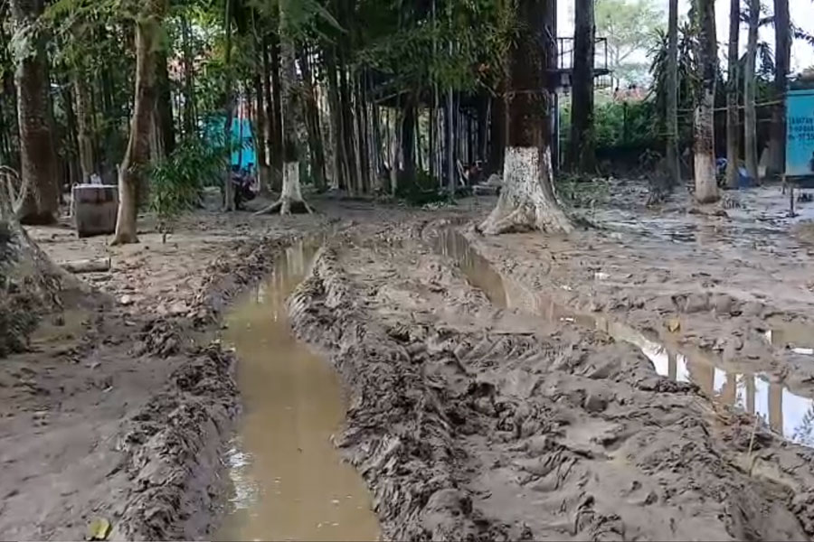 Tourism losses in Dooars at least 40 crore rupees