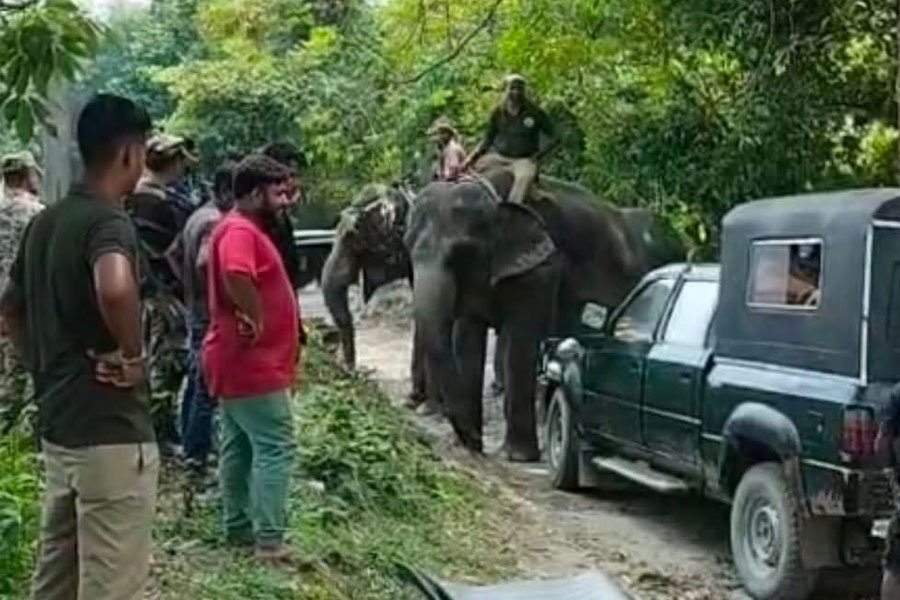 হড়পা বানে উত্তরে মৃতের সংখ্যা বেড়ে ৩৪! লোকালয়ে বন্য পশুদের হানায় বাড়ছে আতঙ্ক