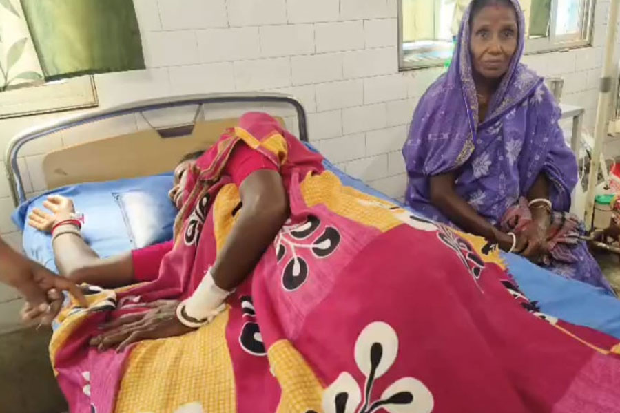 রাখে হরি মারে কে! ঘণ্টাখানেক কুমিরের সঙ্গে লড়াই করে বেঁচে ফিরলেন বধূ