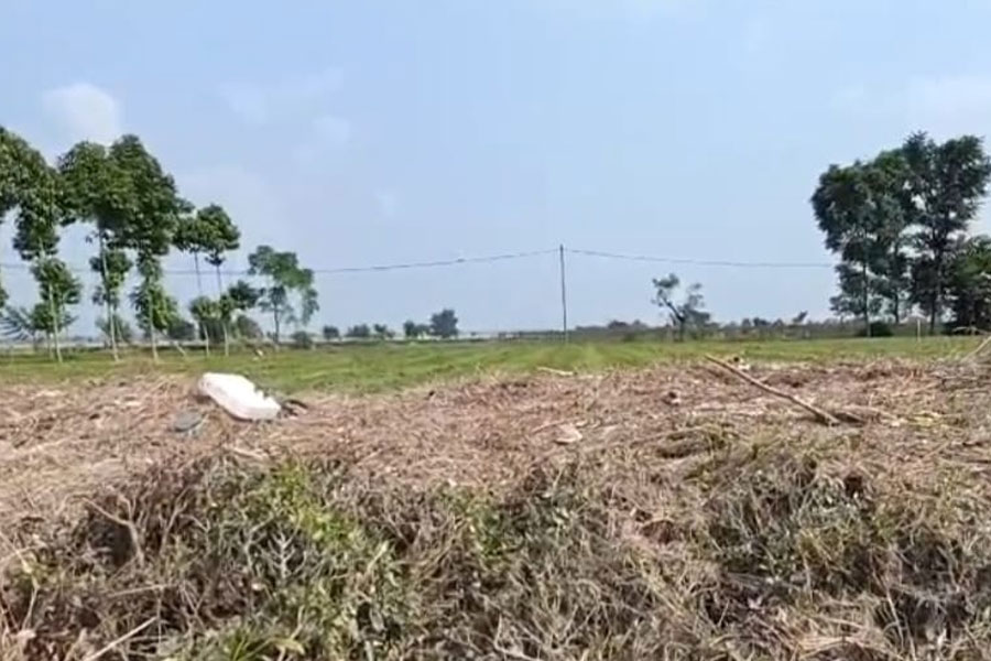 বাড়ছে দুশ্চিন্তা, উত্তরে উৎপাদনে ঘাটতি ৮৩ লক্ষ ২০ হাজার কেজি চা! বিপুল আর্থিক ক্ষতির আশঙ্কা