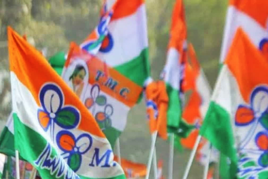 এসআইআর ইস্যুতে বিএলও-দের সঙ্গে নামছেন তৃণমূলের বুথ এজেন্টরা, কড়া নজরে দলীয় সমীক্ষাও
