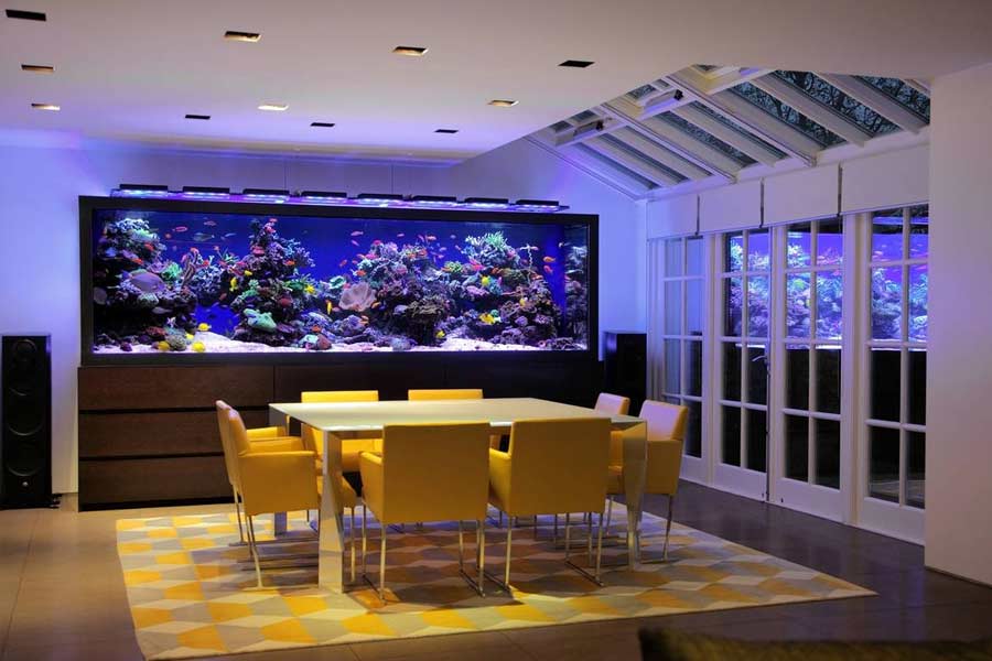 Aquarium
