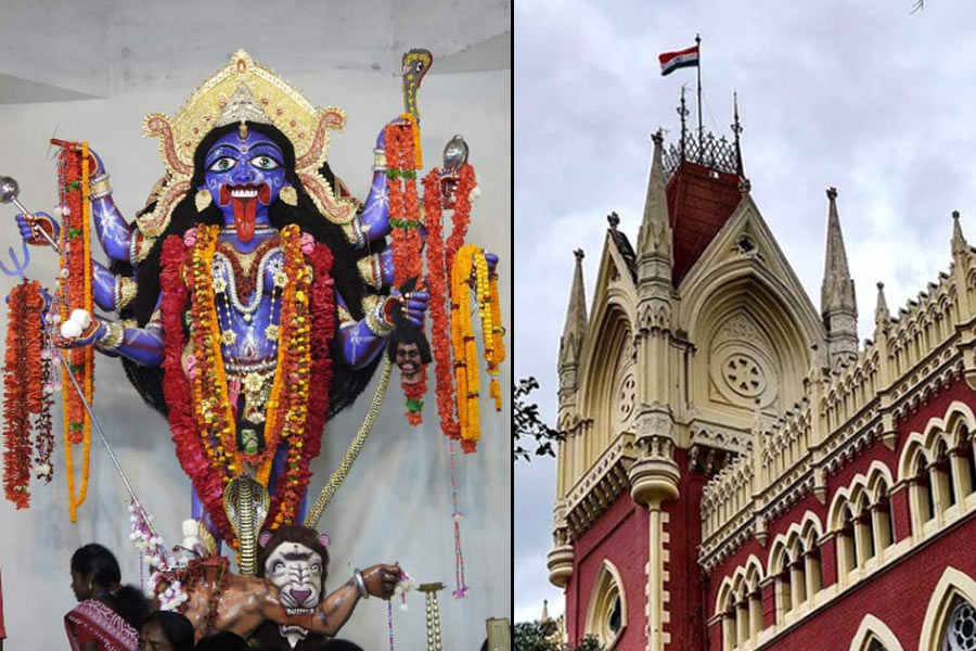 প্রথা মেনে শুধুমাত্র ২টি ছাগ বলি, বোল্লা কালীপুজো নিয়ে নির্দেশ হাই কোর্টের