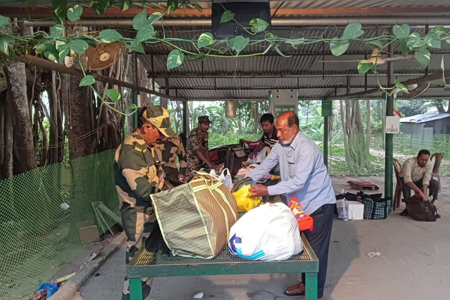 দিল্লি বিস্ফোরণের জের, নদিয়ার গেদে সীমান্তে কড়া নজরদারি বিএসএফের