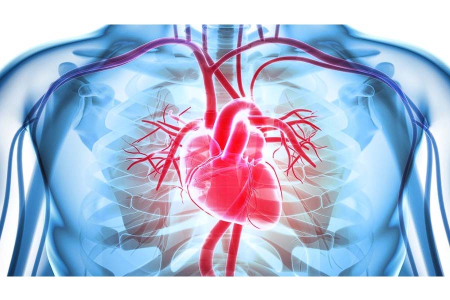 Year-end parties increase heart attack risk: Doctor