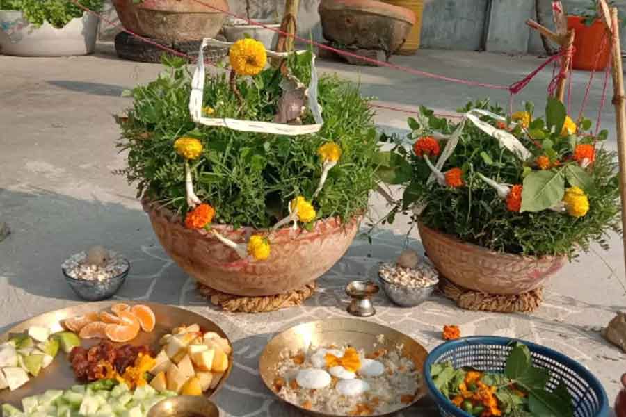 অগ্রহায়ণে ইতুব্রত পালন করছেন? এই নিয়মগুলি না মানলে ছারখার সংসার!