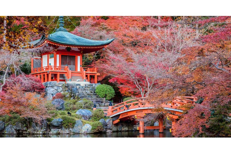 Lifestyle News: These spots scream 'Bring a Partner', solo trips here offer little joy