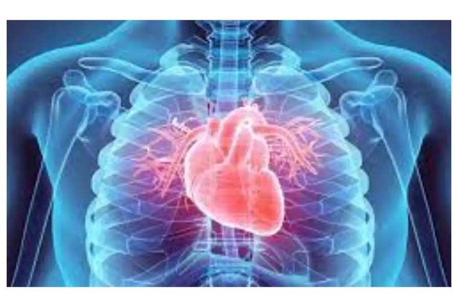 Health Tips: Sleeping with light on may increase heart and diabetes risk
