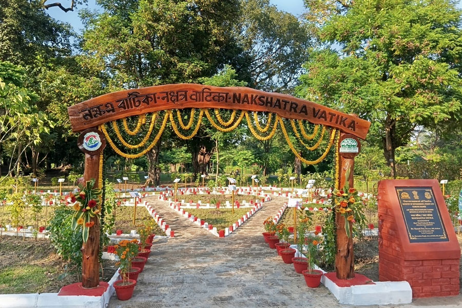 মানুষের সঙ্গে গাছের সম্পর্ক! উদ্ভিদ-গ্রহ যোগ শেখাতে বোটানিক্যাল গার্ডেনে তৈরি ‘নক্ষত্র বাটিকা’