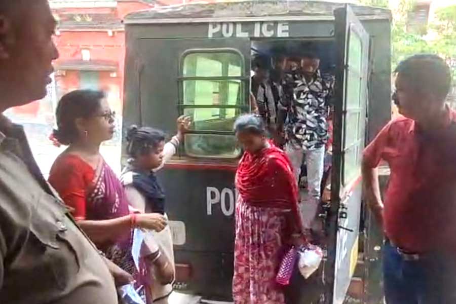 এসআইআর আতঙ্কে অনুপ্রবেশকারীরা! তিনদিনে বসিরহাট সীমান্তে গ্রেপ্তার প্রায় শ’খানেক বাংলাদেশি