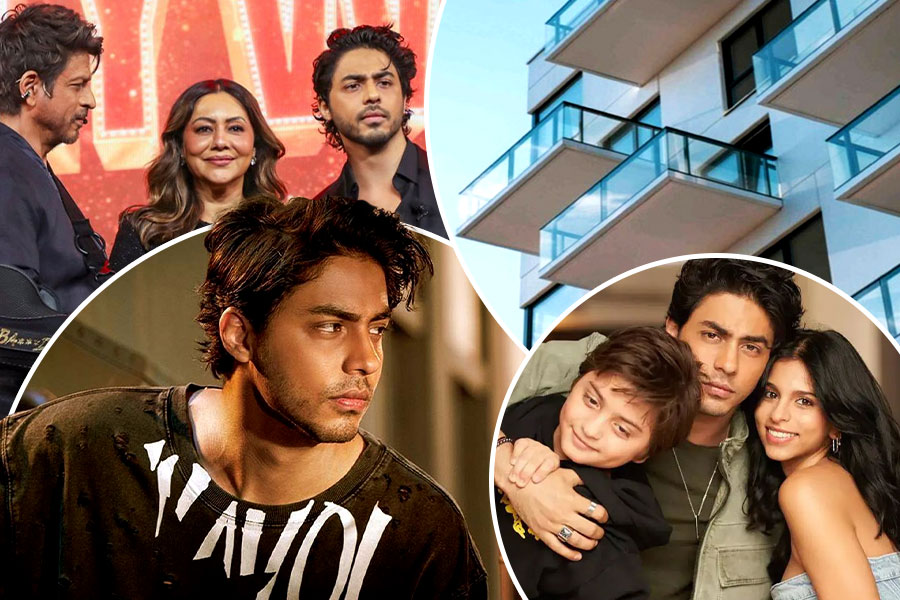 সম্ভারে অডি, BMW, ৩৭ কোটির বাংলো! ২৮ বছরেই কীভাবে বিপুল সম্পত্তির মালিক শাহরুখপুত্র আরিয়ান?