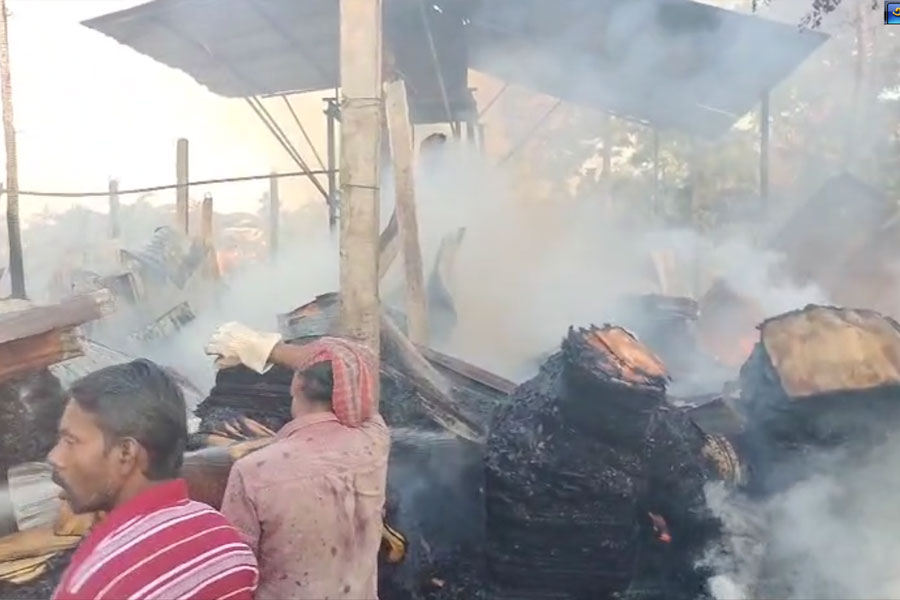 ভয়াবহ আগুনে ভস্মীভূত প্লাইউড কারখানা, চাঞ্চল্য অশোকনগরে