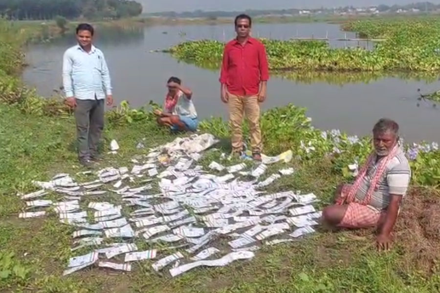 এসআইআর শুরু হতেই জলাশয়ে বান্ডিল বান্ডিল আধার কার্ড! চাঞ্চল্য পূর্বস্থলীতে