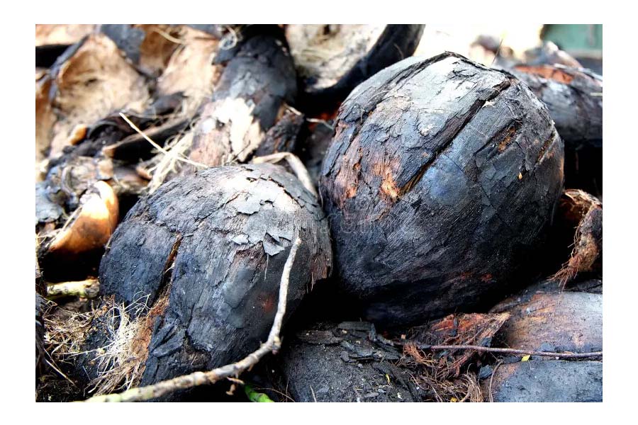 Lifestyle News: According to Vastu Shastra, you should never bring home these items found on the street