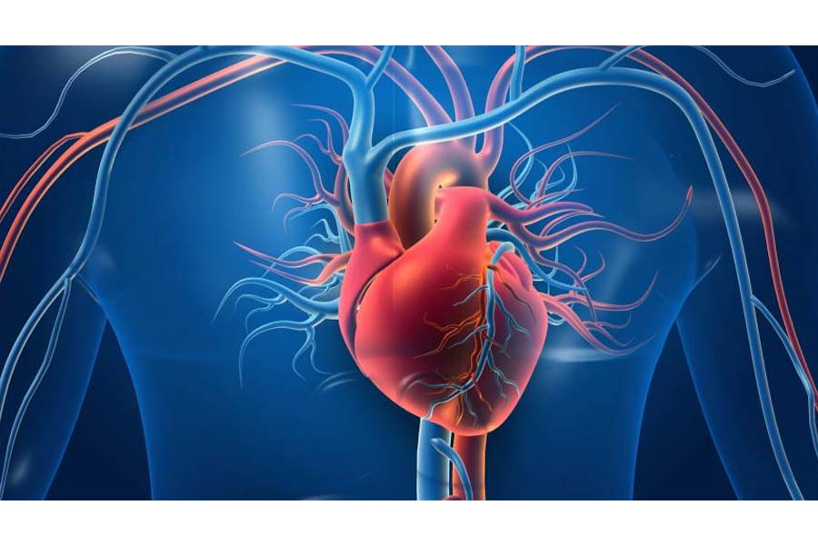 Health Tips: How harmful is reusing cooking oil repeatedly for heart health