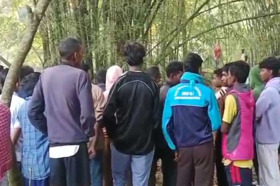 one person died in tea garden by attack of an elephant in alipurduar