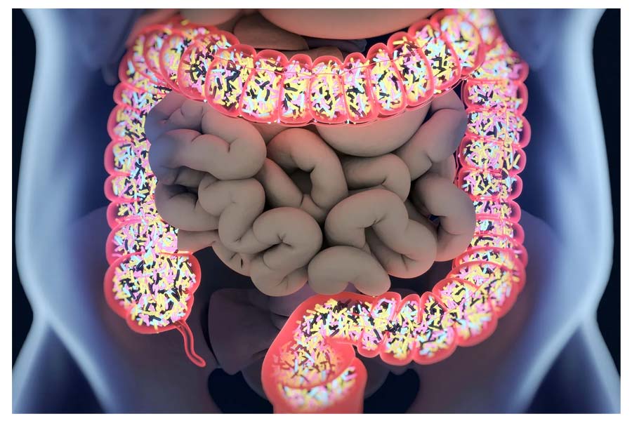 Which is better for gut health: ABC Pickle (Achar) or ABC Juice