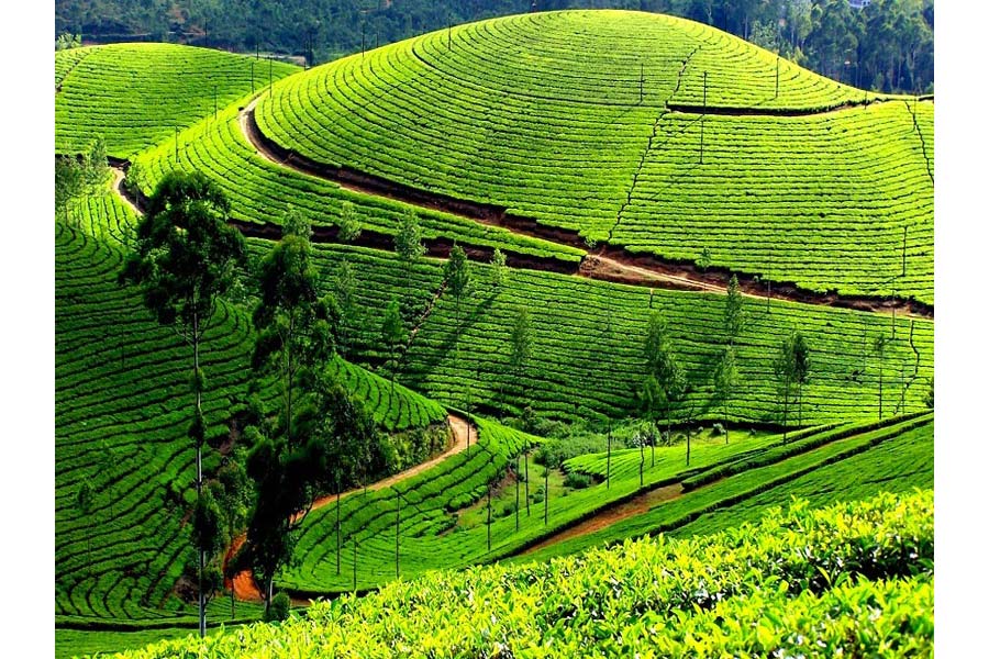 India's Top Destinations in November for Ideal Travel Weather