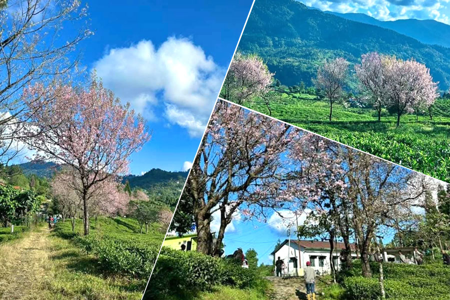 ছবির মতো সুন্দর গ্রাম রয়েছে ভারতেই, জানেন কোথায় আছে এই জায়গা?