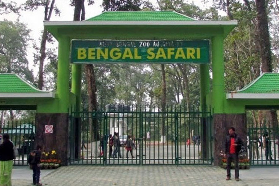 শিলিগুড়ির বেঙ্গল সাফারি পার্কে রেকর্ড আয়, নতুন বছরেই চালু হতে পারে সিংহ সাফারি