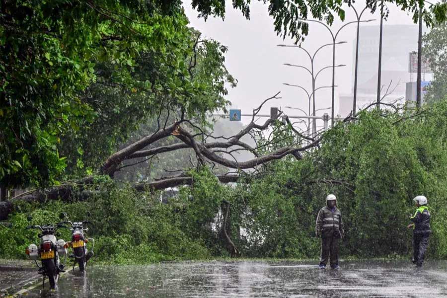 ঘূর্ণিঝড়ের তাণ্ডব, শ্রীলঙ্কায় আটকে থাকা ভারতীয়দের ফেরাতে কী পদক্ষেপ? জানাল কমিশন