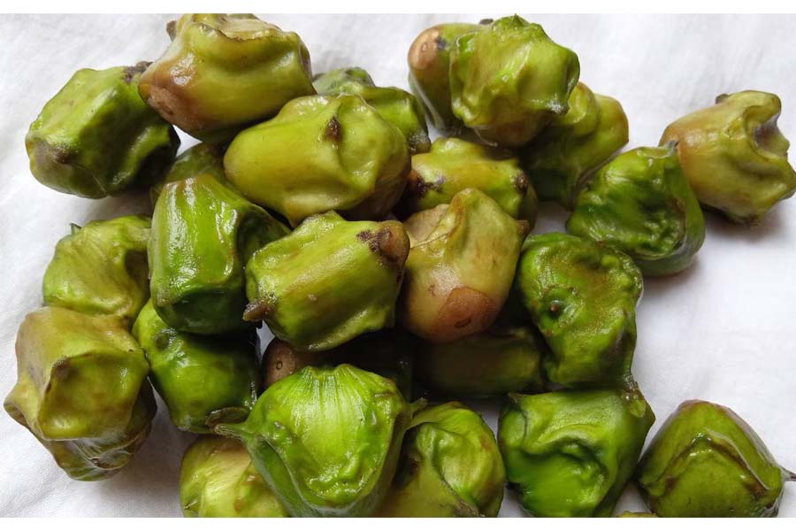 Know the health benefits of water chestnut