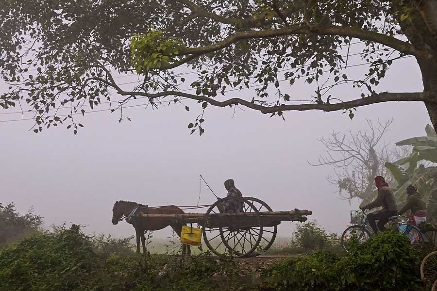 শীতকাল দীর্ঘস্থায়ী হোক
