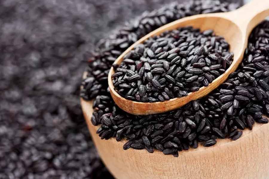 ইউটিউব দেখে শুরু, ‘প্রিন্স অফ রাইস’ চাষে চমক বাংলার কৃষকের