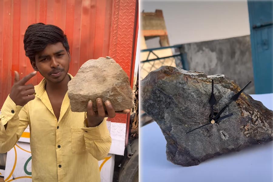 ছিল পাথর হল ঘড়ি! তাক লাগাল কিশোর, কত দামে বিক্রি হল জানেন?