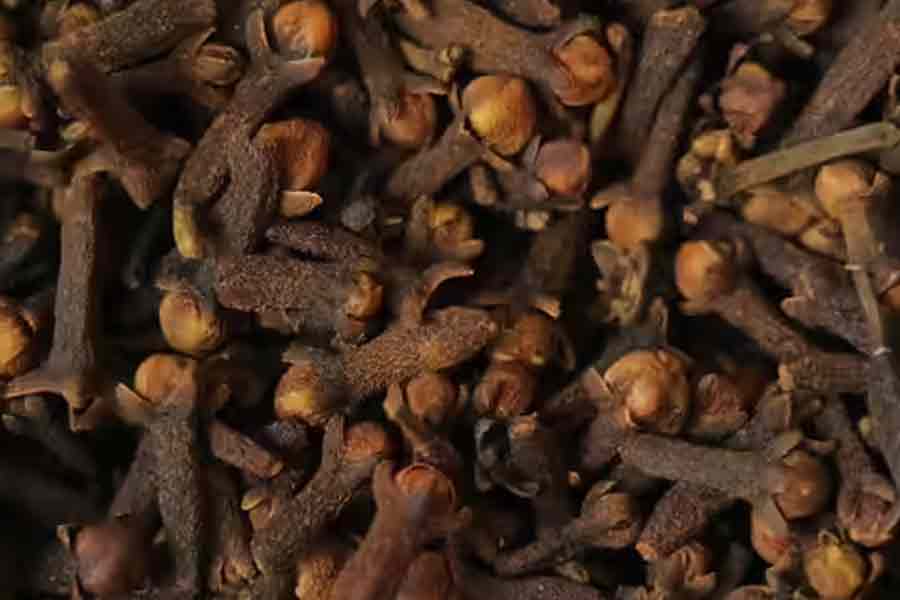 Clove