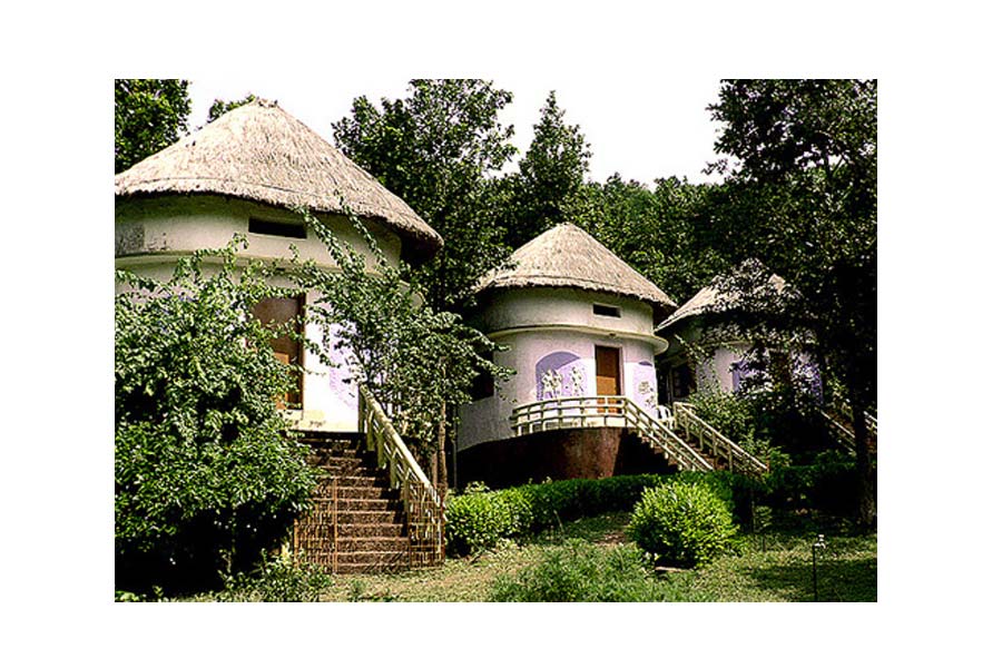 Travel News: Top 5 Weekend Getaways Near Kolkata for Christmas Break