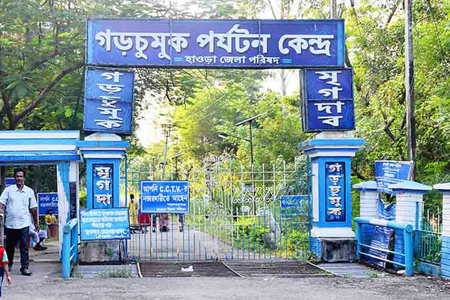 বড়দিনের ছুটিতেও খাঁ খাঁ করছে গড়চুমুক, গাদিয়ারা! মাথায় হাত ব্যবসায়ীদের
