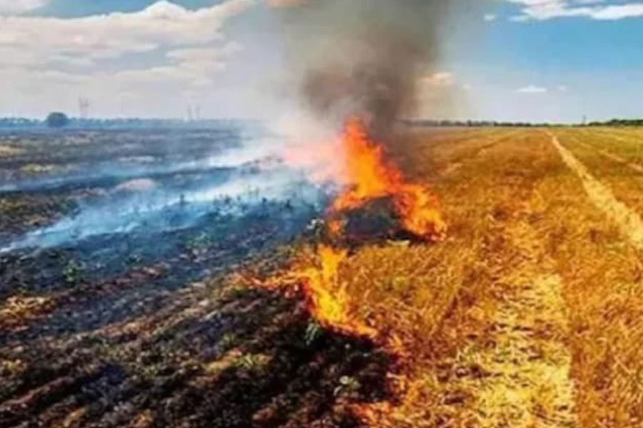 শস্যের গোড়া পোড়ানোর সময়ের পরিবর্তনেই লাফিয়ে বেড়েছে দিল্লির দূষণ! দাবি NASA-র