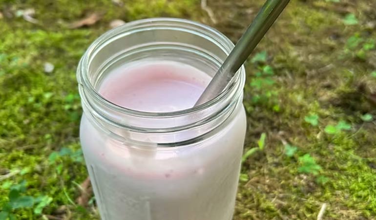 Bear Grylls Diet