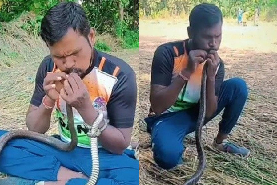 বিদ্যুৎস্পৃষ্ট সাপের মুখে মুখ দিয়ে CPR! সরীসৃপের প্রাণ ফিরিয়ে ভাইরাল অসম সাহসী যুবক